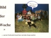 bilderderwoche-73